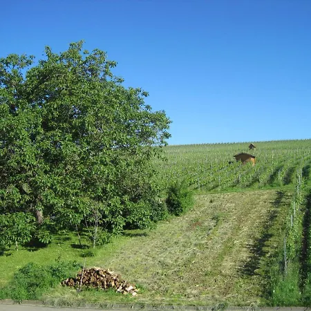 Haus Am Weinberg